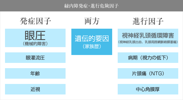 緑内障発症･進行危険因子